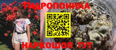 хмурый Аргун